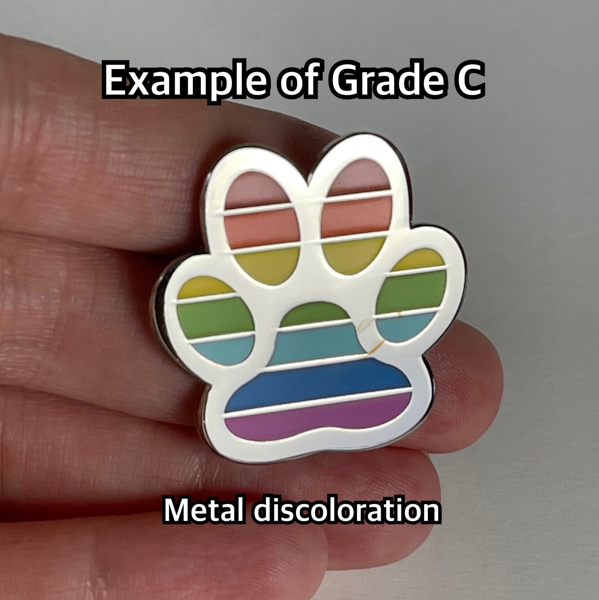 Paw Pride Rainbow Enamel Pin Donation to TNR animal rescue